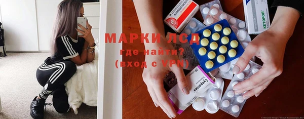 индика Алзамай