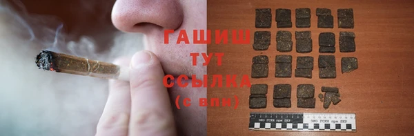 индика Алзамай