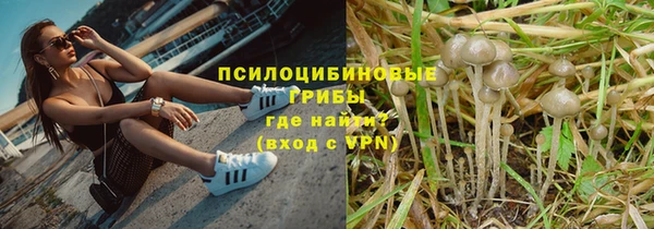 прущие крисы Алексин