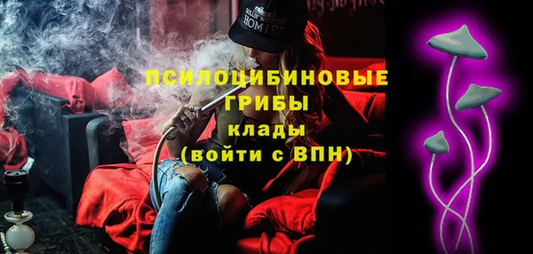 индика Алзамай