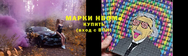 индика Алзамай