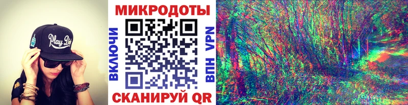 где купить наркоту  Асино  Псилоцибиновые грибы мицелий 