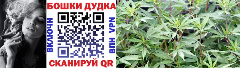 Каннабис Amnesia Асино